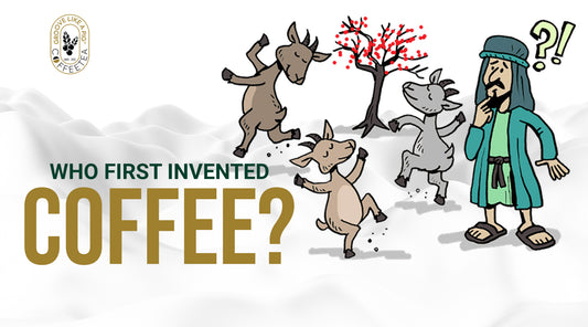 who-first-invented-coffee-groovelikeapig-coffeetea
